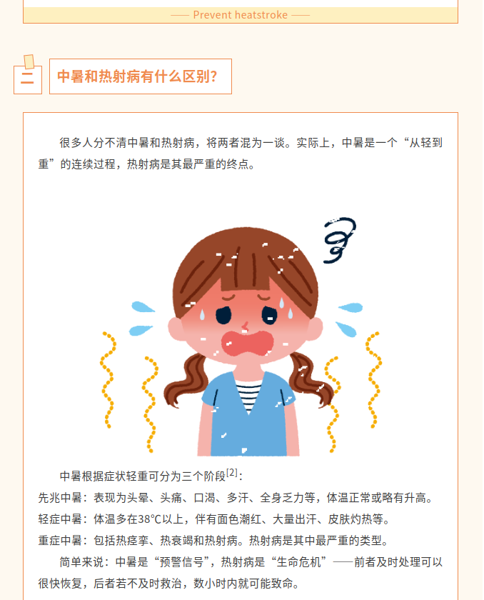 image.png?v=1786662449512