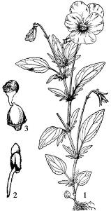 pagenumber_ebook=204,pagenumber_book=204