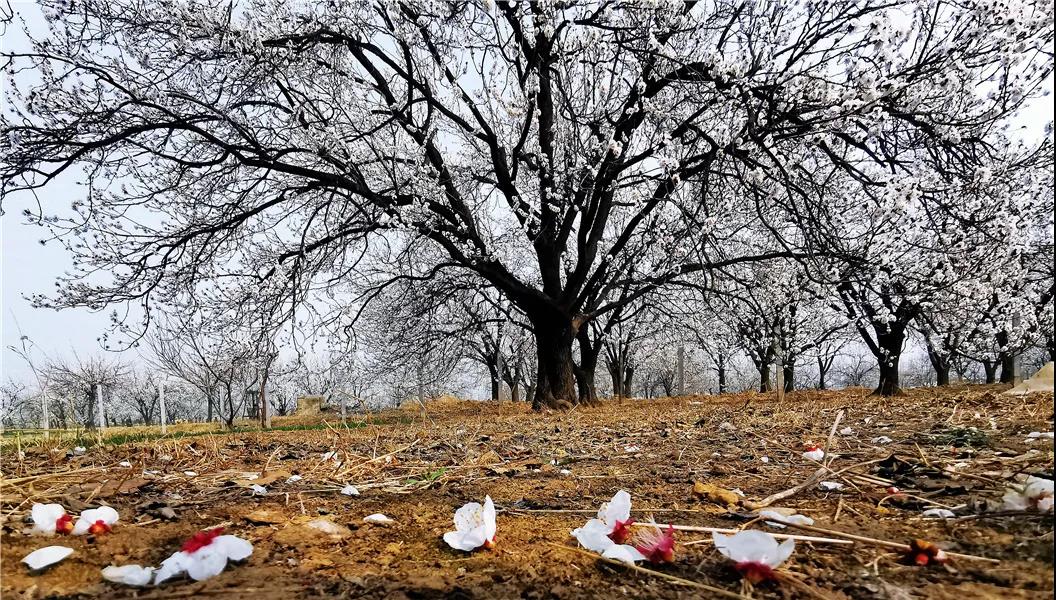 微信图片_20210318082727