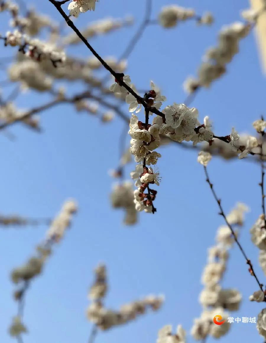 微信图片_20210308084918 微信图片_20210308084918.jpg