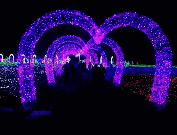 微信图片_20200928095112 微信图片_20200928095112.gif