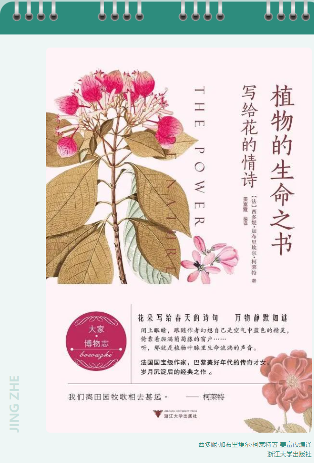 屏幕截图 2023-07-19 163423 屏幕截图 2023-07-19 163423.png?v=1771651437574