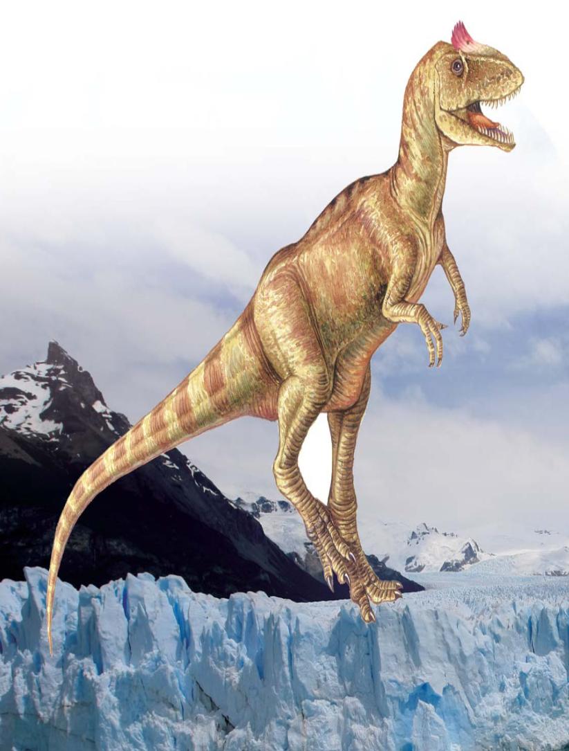 pagenumber_ebook=83,pagenumber_book=72