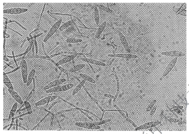 pagenumber_ebook=116,pagenumber_book=109