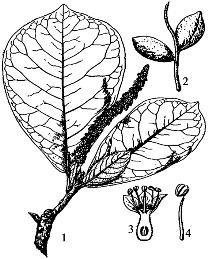 pagenumber_ebook=107,pagenumber_book=107