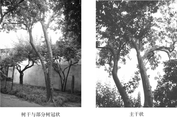 pagenumber_ebook=74,pagenumber_book=74