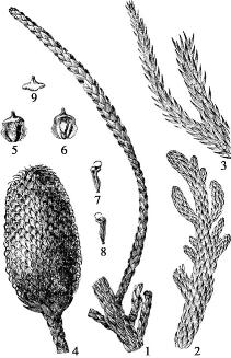 pagenumber_ebook=68,pagenumber_book=68