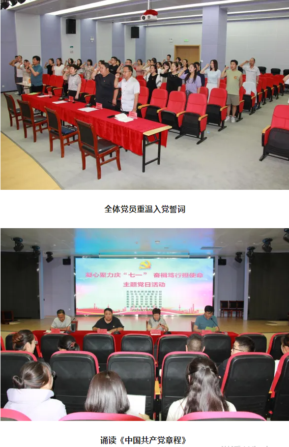 image image.png?v=1763569567280