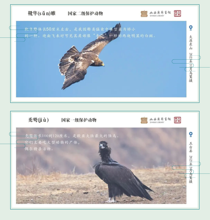 image.png?v=1757830673198