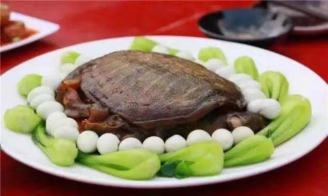 309025816 309025816.jpg