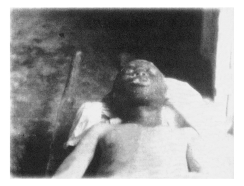 pagenumber_ebook=233,pagenumber_book=220