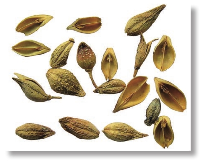 pagenumber_ebook=53,pagenumber_book=40