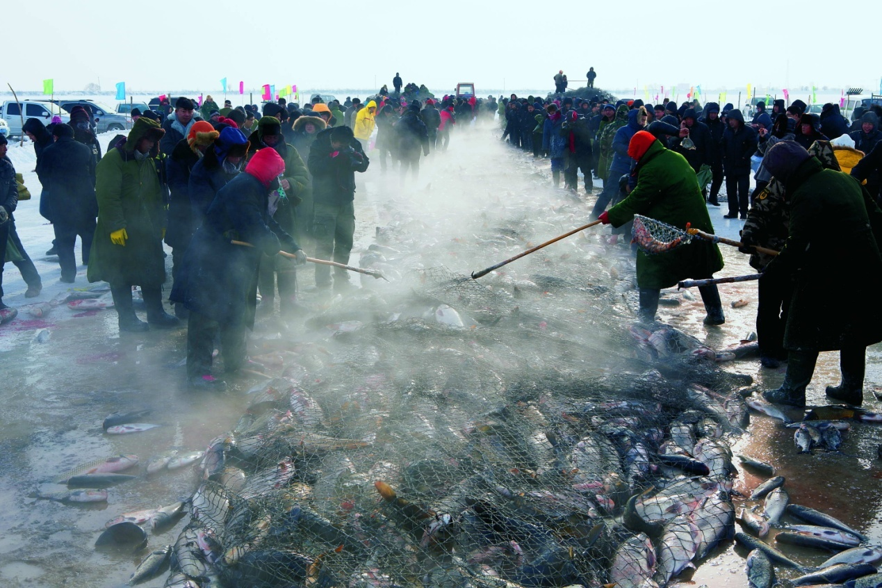 图片7 图片7.png?v=1763162774947