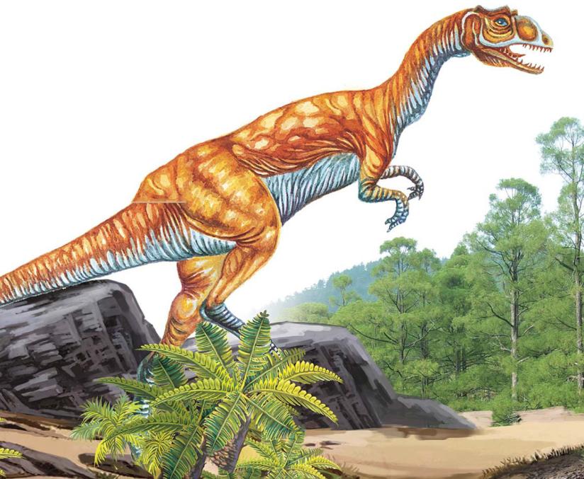 pagenumber_ebook=117,pagenumber_book=106