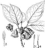 pagenumber_ebook=142,pagenumber_book=142