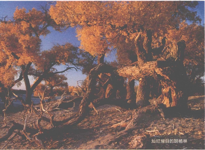 pagenumber_ebook=127,pagenumber_book=119