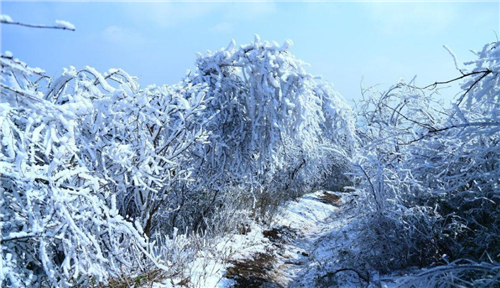 微信图片_20201205193641.png