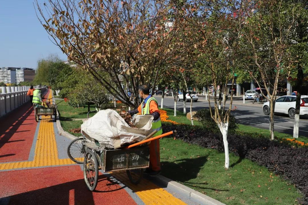 微信图片_20200713201559