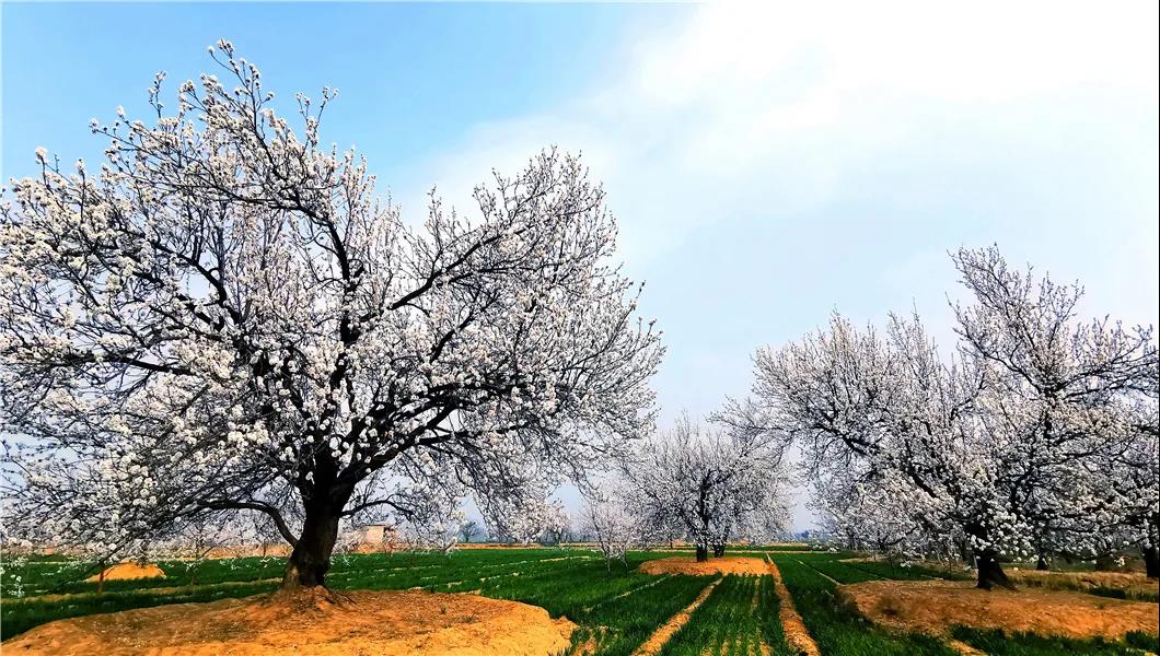 微信图片_20210318082705