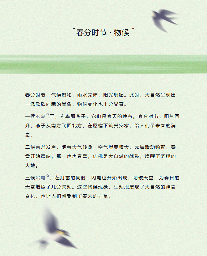 image.png?v=1774105058423