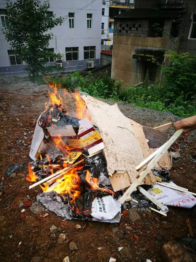 1 1.png?v=1765730287278