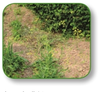 pagenumber_ebook=33,pagenumber_book=20