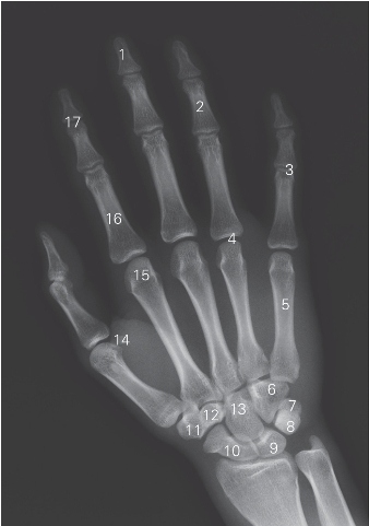 pagenumber_ebook=165,pagenumber_book=156