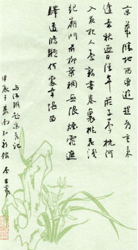 1735008959178 1735008959178.jpg