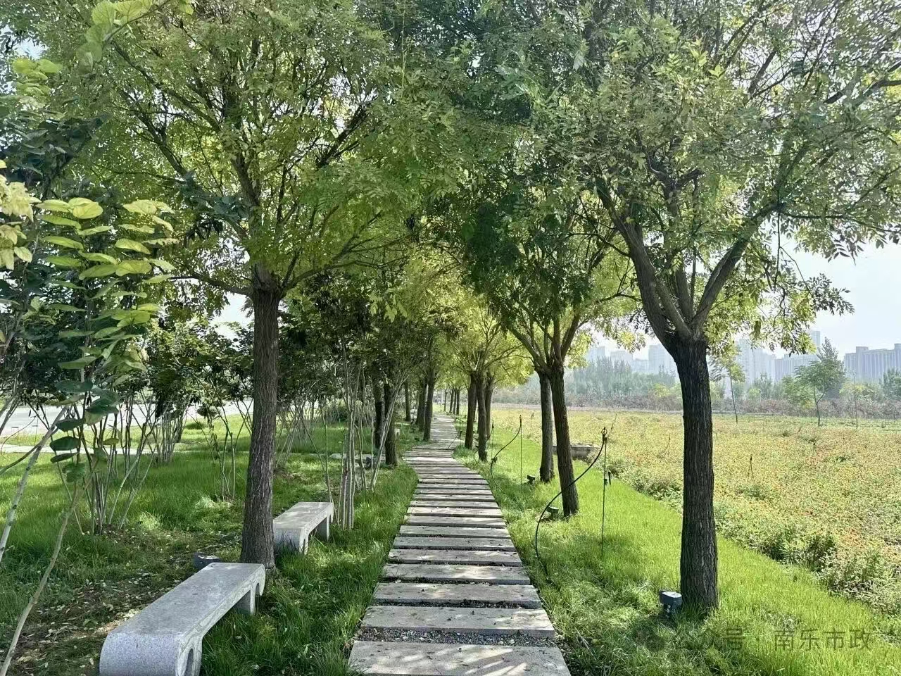 微信图片_20260204091653_767_258jpg