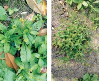 pagenumber_ebook=151,pagenumber_book=143