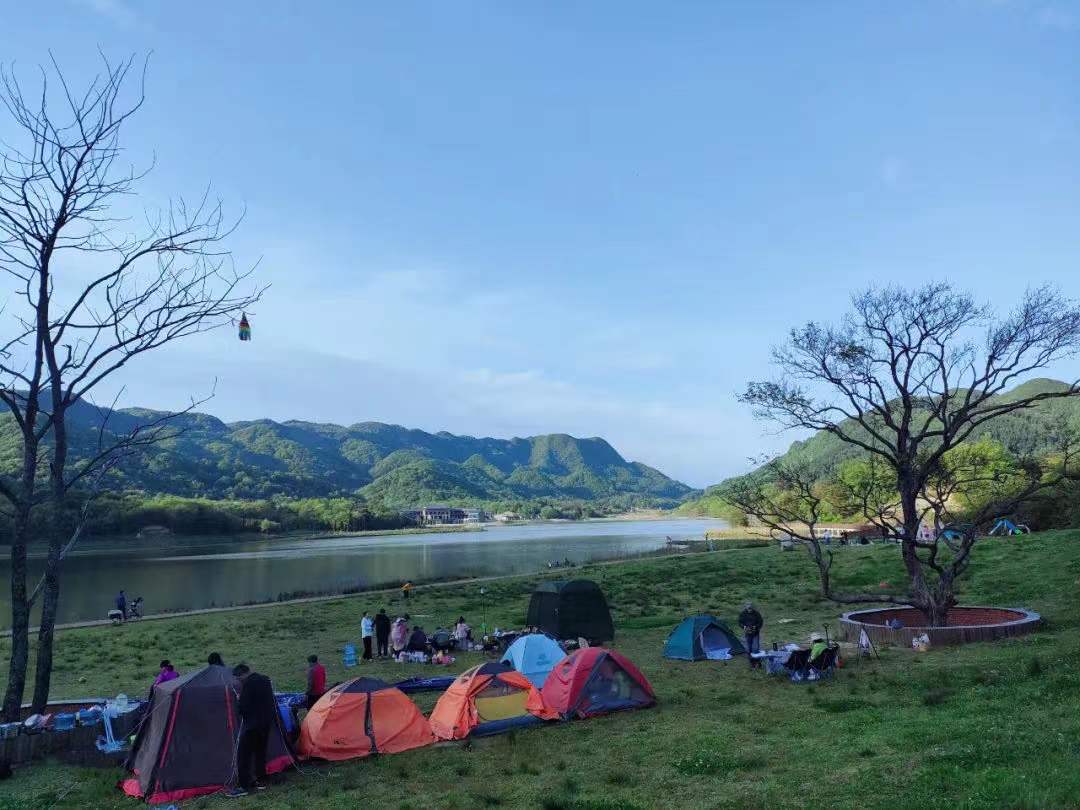 b405424ef3abfd7496ff0907f23dcaf b405424ef3abfd7496ff0907f23dcaf.jpg?v=1762743078123