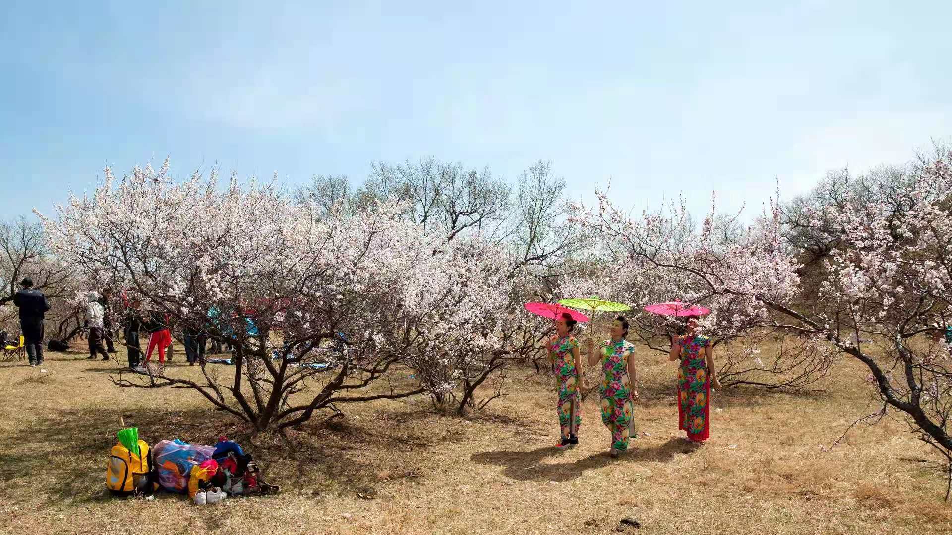 微信图片_202105081456121 微信图片_202105081456121.jpg