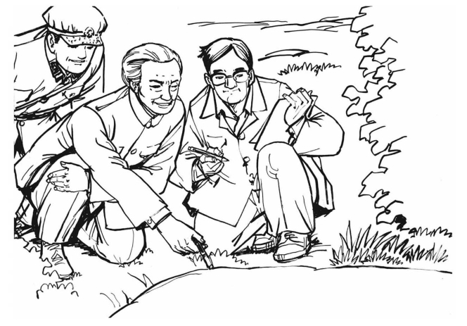 pagenumber_ebook=196,pagenumber_book=196