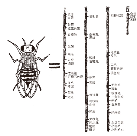 pagenumber_ebook=250,pagenumber_book=246