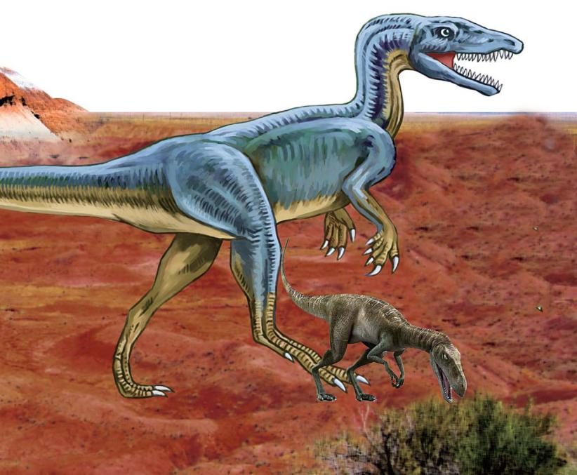 pagenumber_ebook=62,pagenumber_book=51