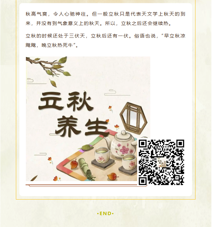 image.png?v=1757830891684