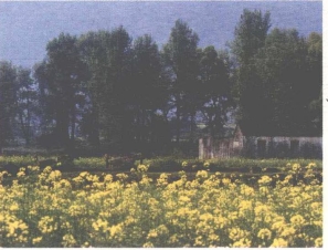 pagenumber_ebook=215,pagenumber_book=207