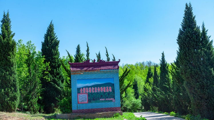 222222222222222 222222222222222.jpg