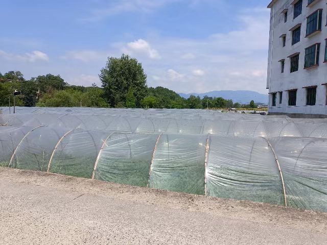 微信图片_20241213102412