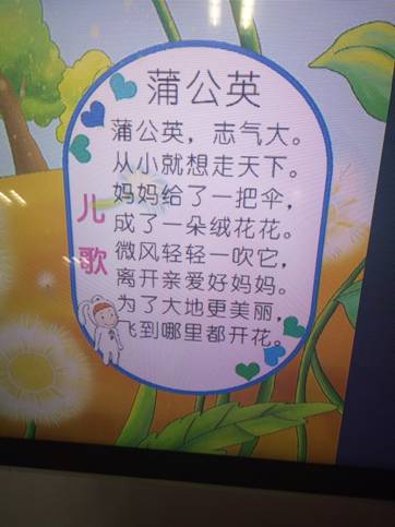 2018021335425537 2018021335425537.jpg?v=1764820427675