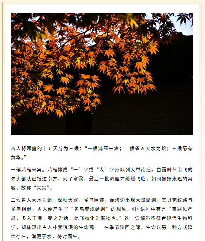 image.png?v=1791932156688