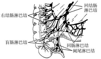 pagenumber_ebook=192,pagenumber_book=177