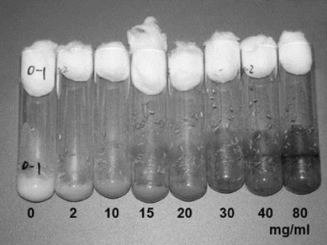 pagenumber_ebook=125,pagenumber_book=117