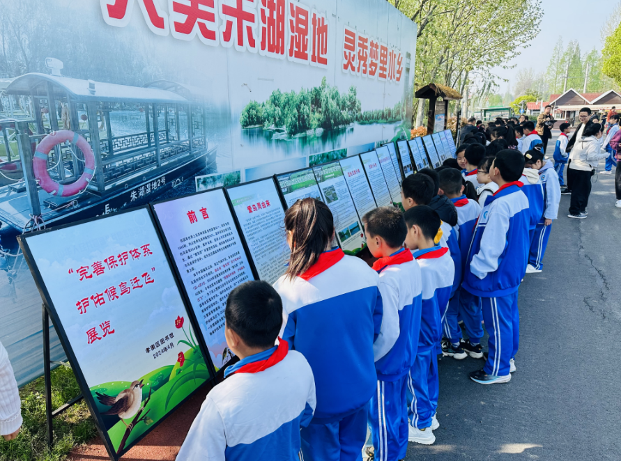 image image.png?v=1762620666531