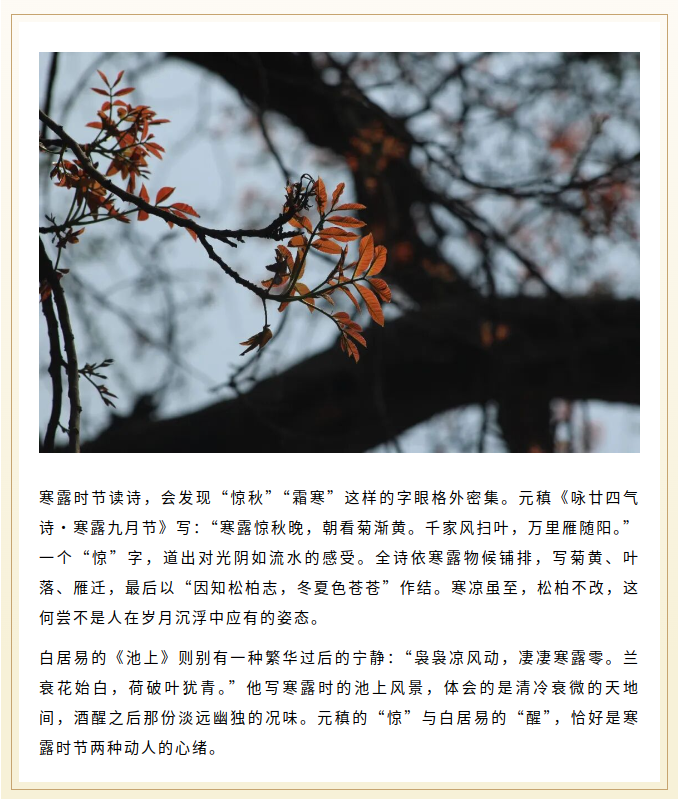 image.png?v=1791932156688