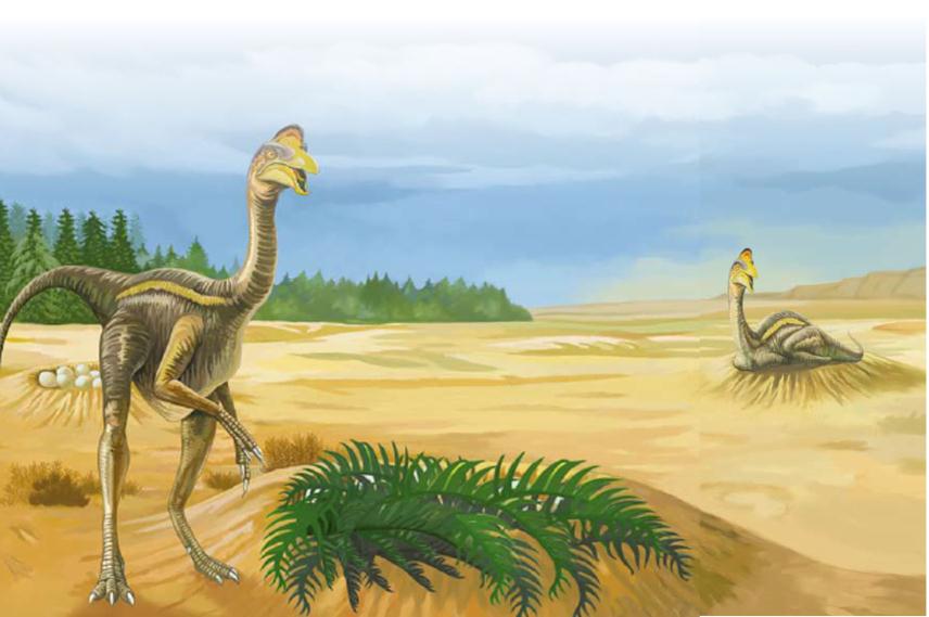 pagenumber_ebook=57,pagenumber_book=56