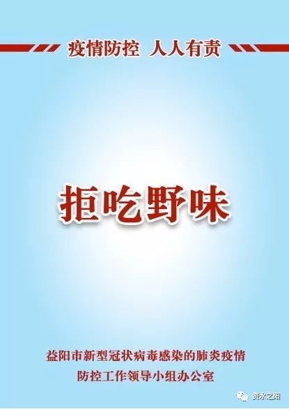 9 9.jpg?v=1765898057179