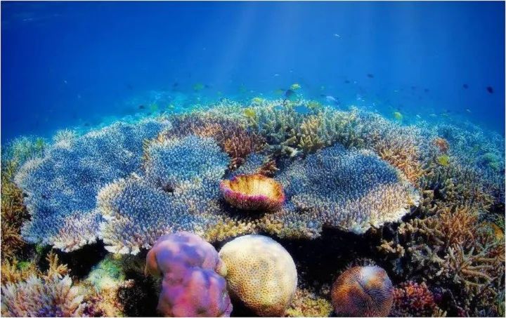 微信图片_20210819154023 微信图片_20210819154023.jpg?v=1765886236734