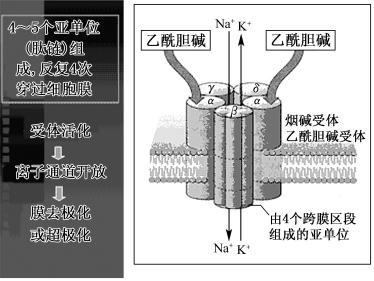 width=326,height=245,dpi=110
