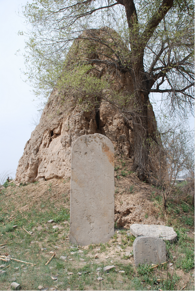 图片4曲秋叶墓全景 图片4曲秋叶墓全景